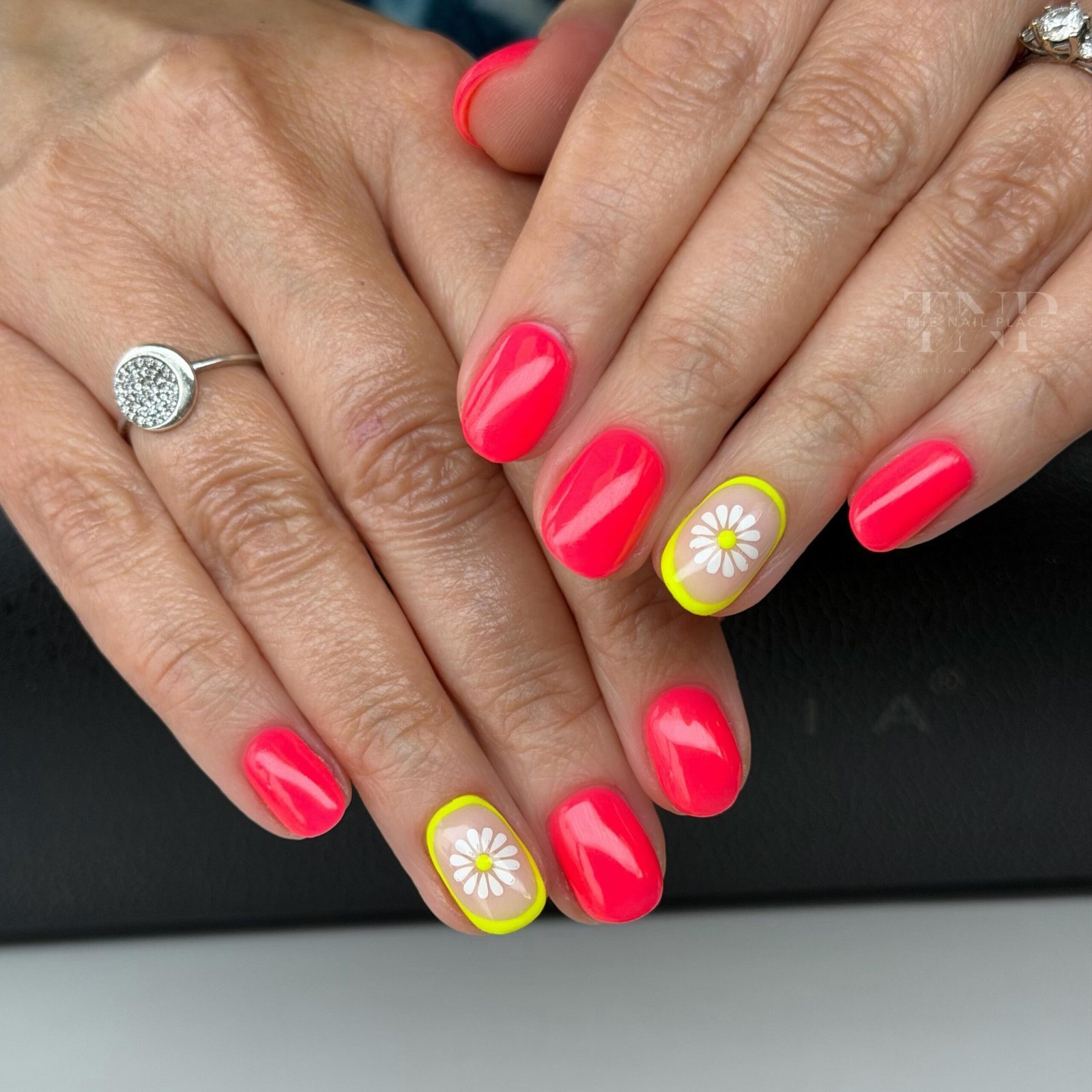Neon Coral Daisy Accent